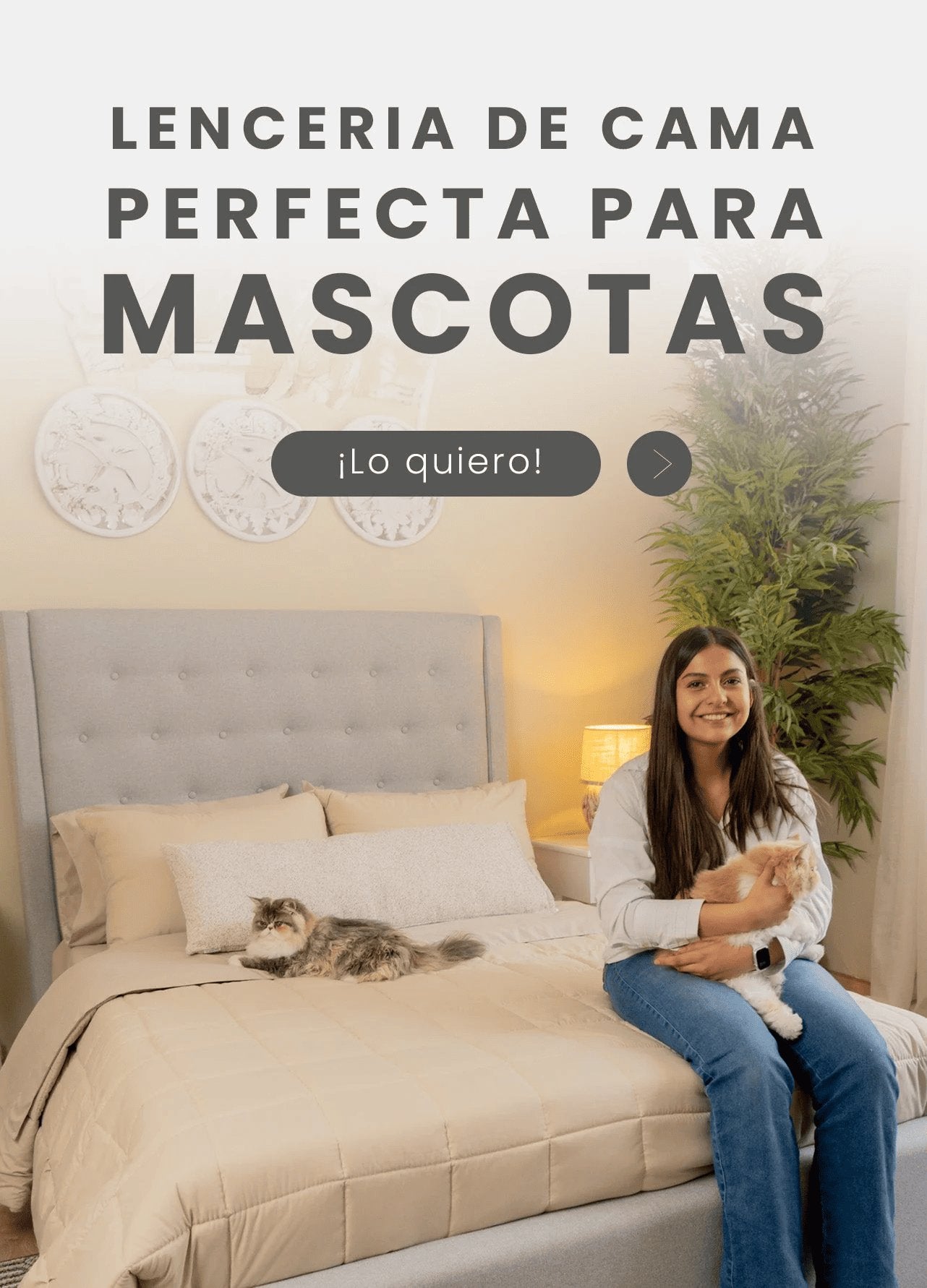 Lencería Amare