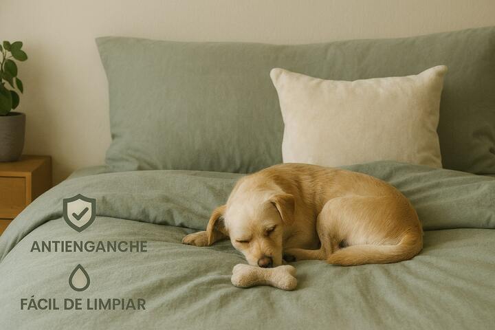Combo Salvia: Plumón + Duvet Cover + Juego de Sábanas + Cojín REGALO + ENVÍO GRATIS