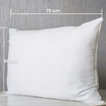 Almohada Victoria - Colección Almohadas Amare