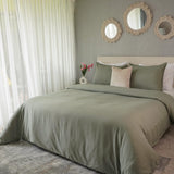 Combo Salvia: Plumón + Duvet Cover + Juego de Sábanas + Cojín REGALO + ENVÍO GRATIS